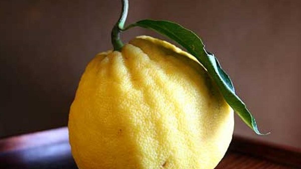 Esenţe tari. Parfum de bergamotă