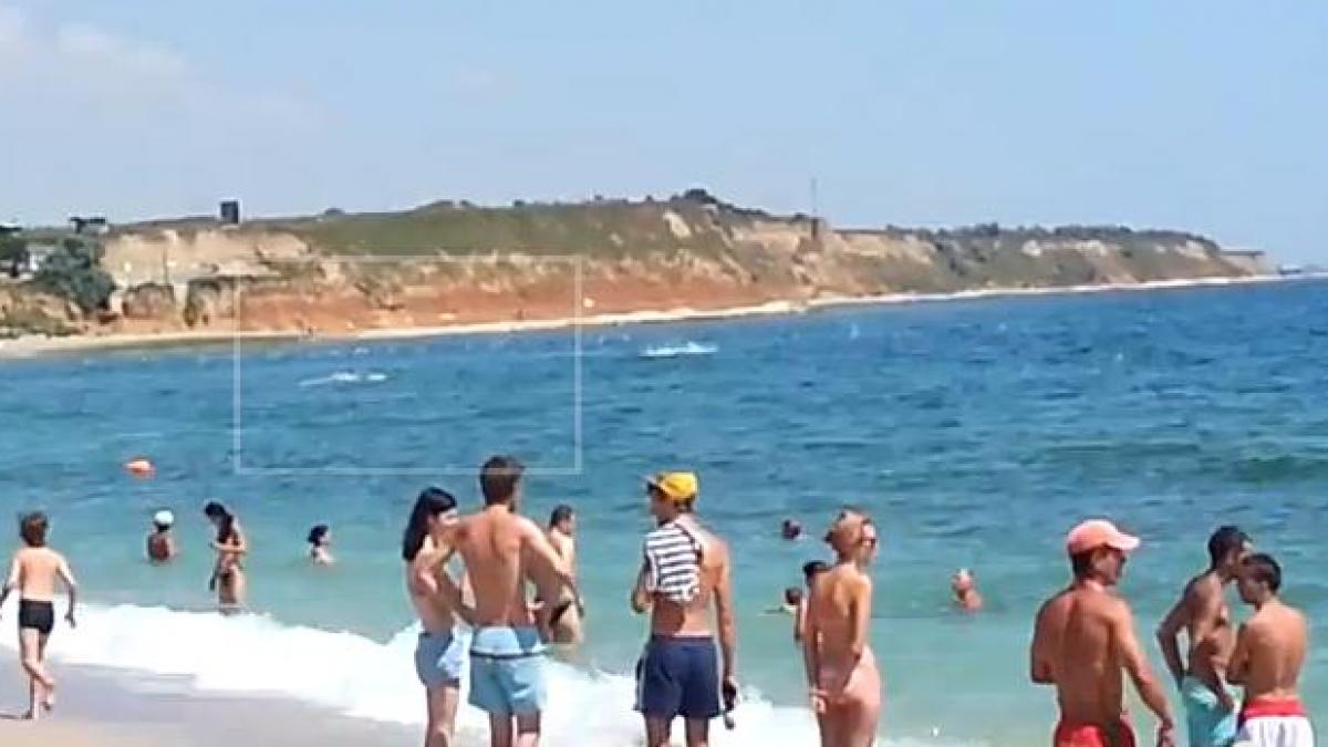 delfini la vama veche video