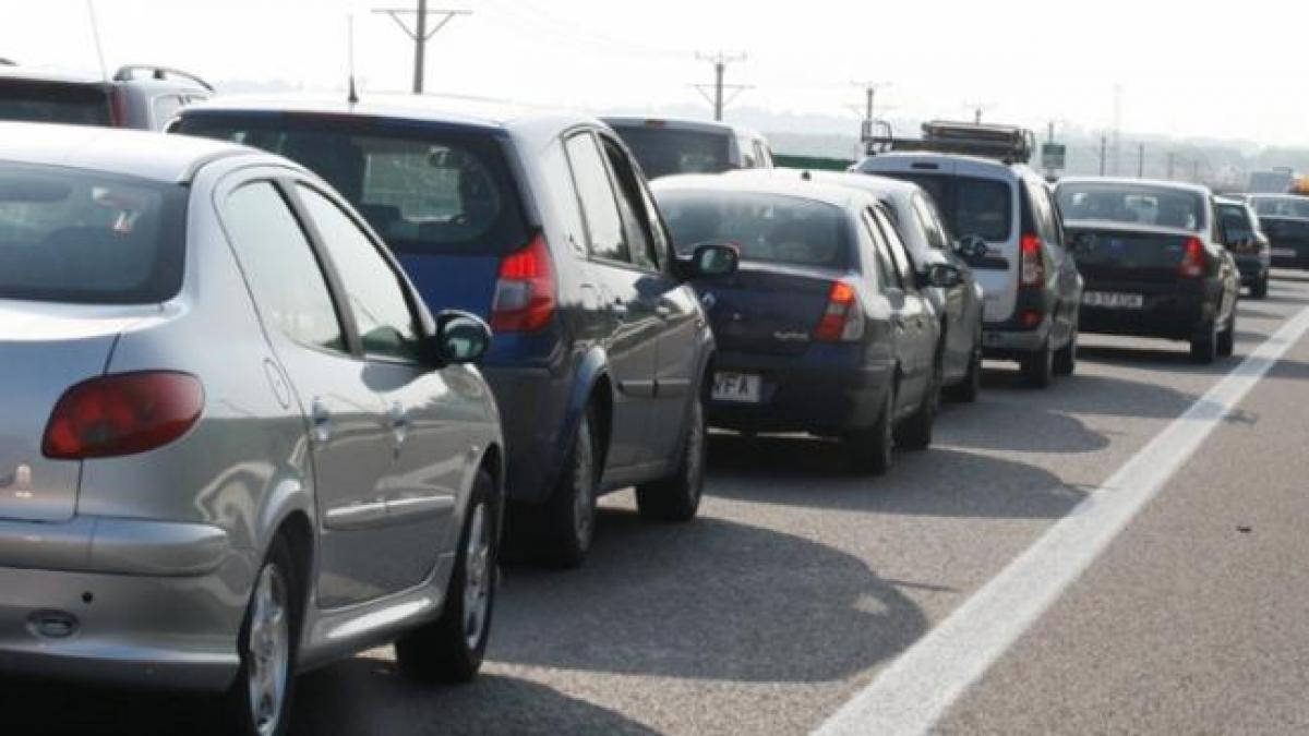 Traficul blocat pe două benzi de pe Şoseaua Mihai Bravu, din cauza unui copac căzut