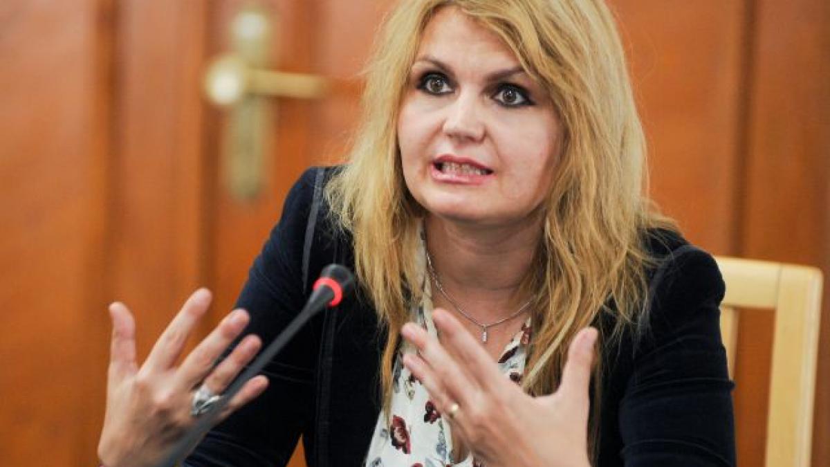Iulia Motoc renunţă la funcţia de judecător CCR numai dacă va fi aleasă la CEDO