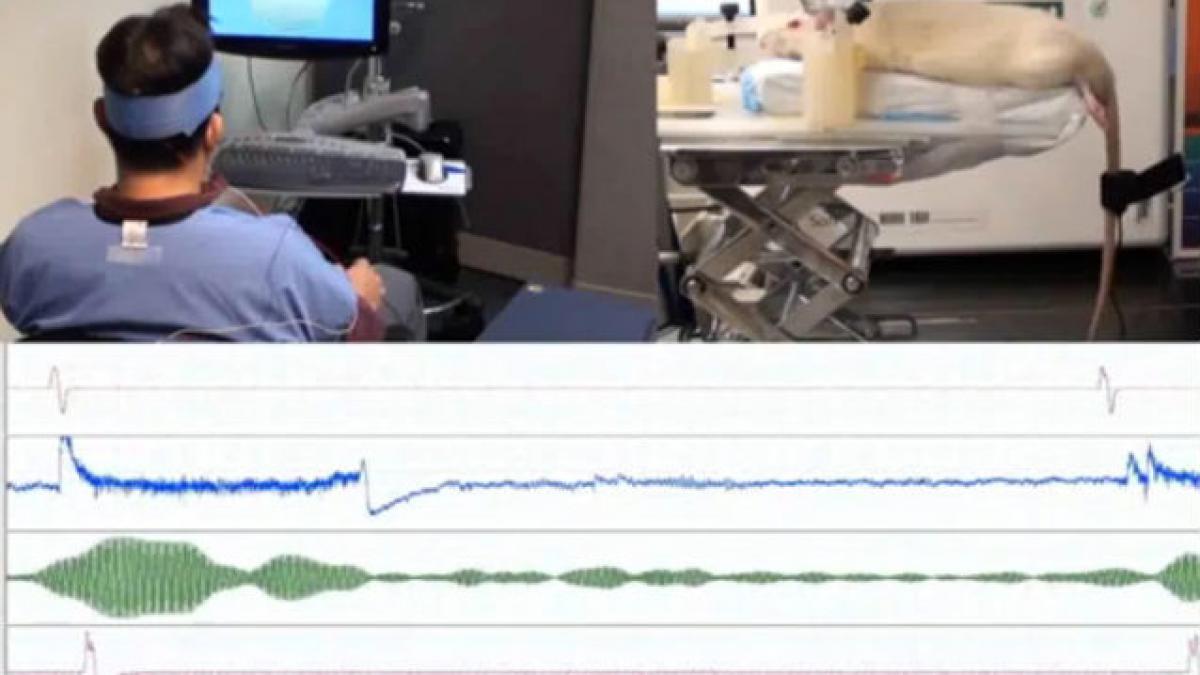 telepatie experiment harvard