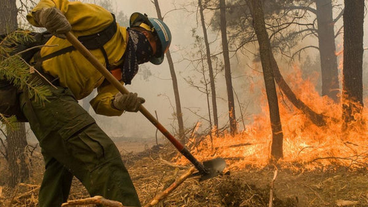 Incendiu masiv de pădure în insula Thassos, în plin sezon turistic
