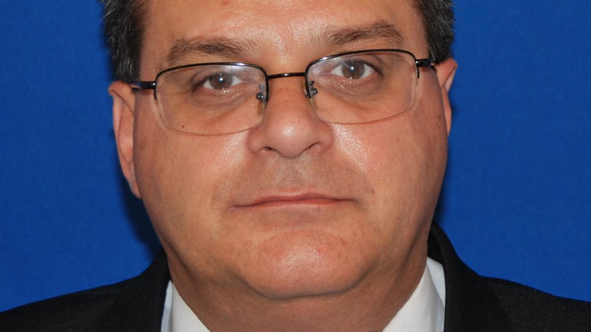 Deputatul PNL Nini Săpunaru, propunerea pentru portofoliul Transporturilor