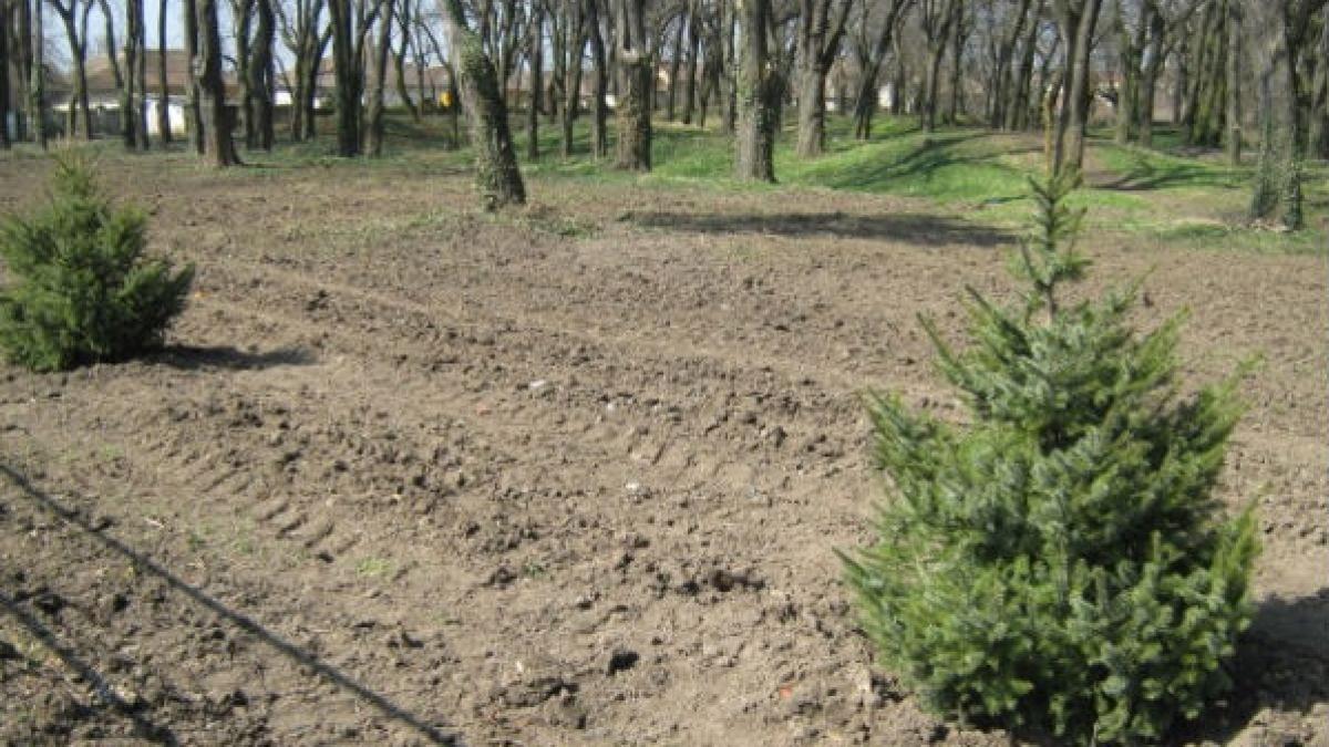 Harghita: Împădurirea naturală, unul din motivele pentru care fermierii pierd subvenţia acordată de APIA