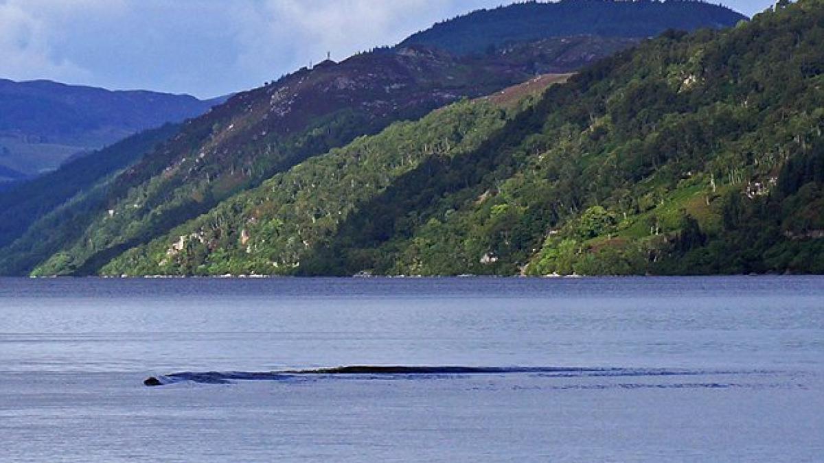 Nessie, dacă nici filmul ăsta nu demonstrează că există... (VIDEO)