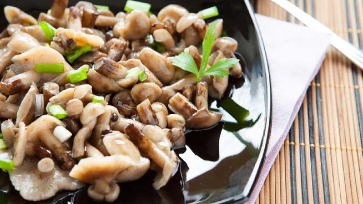  Mushrooms-plan, dieta cu ciuperci  