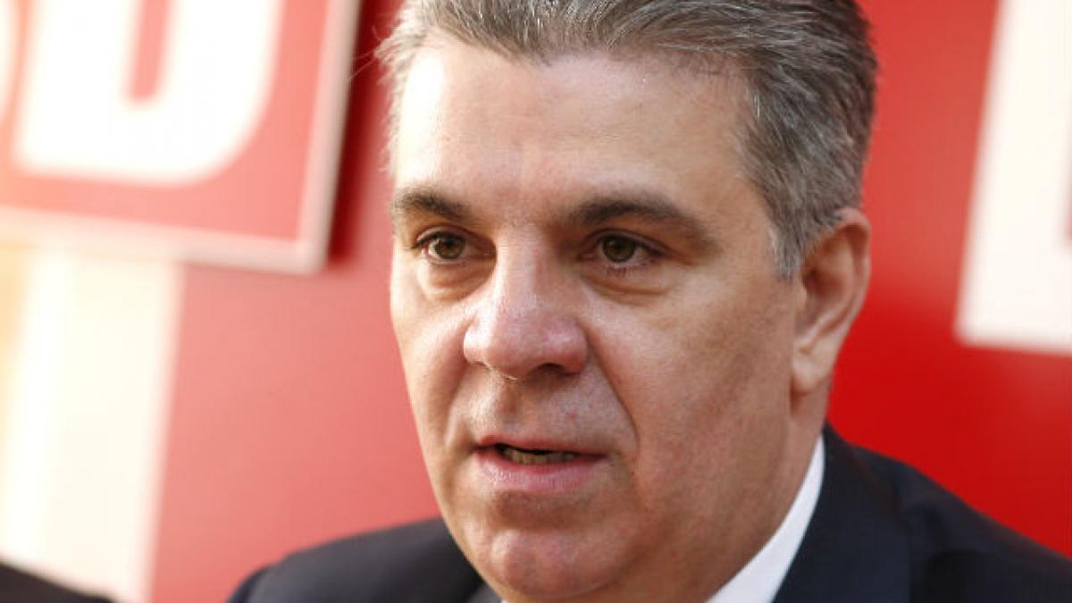 Zgonea: Voi cere comisiilor să ia în dezbatere luni proiectul privind câinii fără stăpân