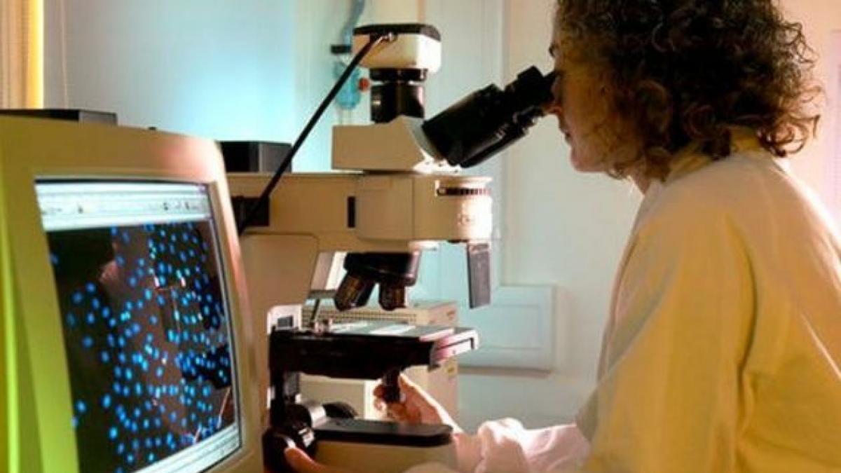 Organismul modificat genetic poate distruge celulele canceroase