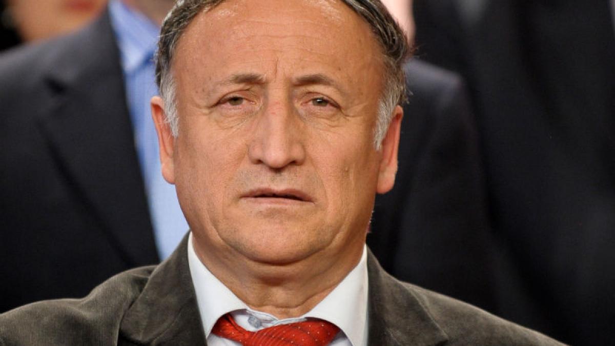 Primarul Piteştiului: Legea să prevadă 14 zile până la eutanasierea unui câine capturat, nerevendicat şi neadoptat