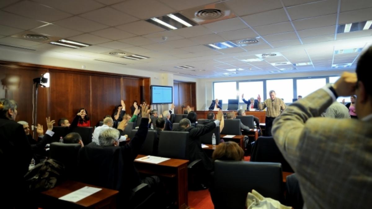 Referendumul privind eutanasierea maidanezilor a fost anulat 