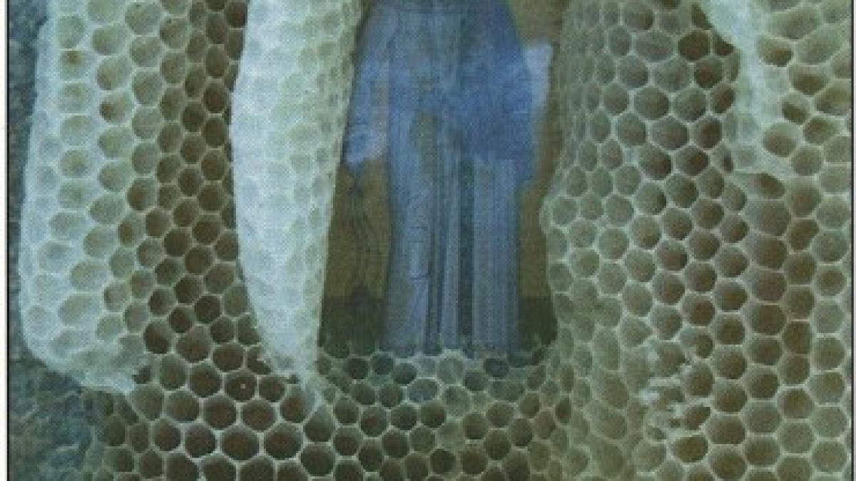 Descoperirea uluitoare a unui apicultor în stupul în care introdusese o icoană