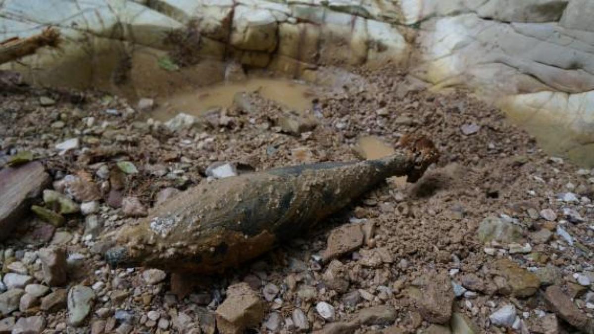 O bombă cu focos activ, descoperită în apropiere de Arad: "Era armată şi se vedea cuiul percutor!"