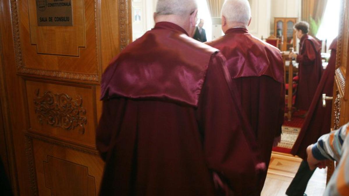 CCR discută miercuri sesizarea legată de legea privind gestionarea câinilor fără stăpân 