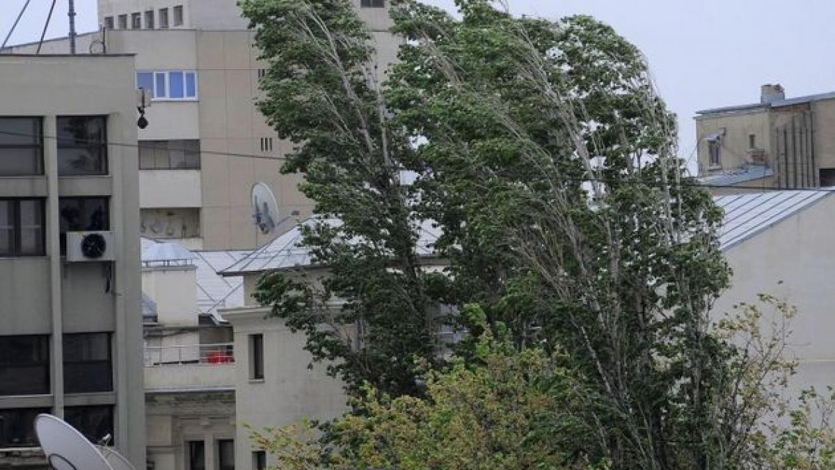 COD GALBEN de vânt puternic în şase judeţe, valabil până la 16:30. Ce zone sunt afectate