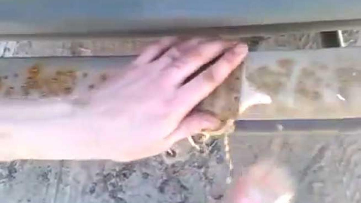 Ghici! Ce băutură răcoritoare poate curăţa foarte bine rugina ? (VIDEO)