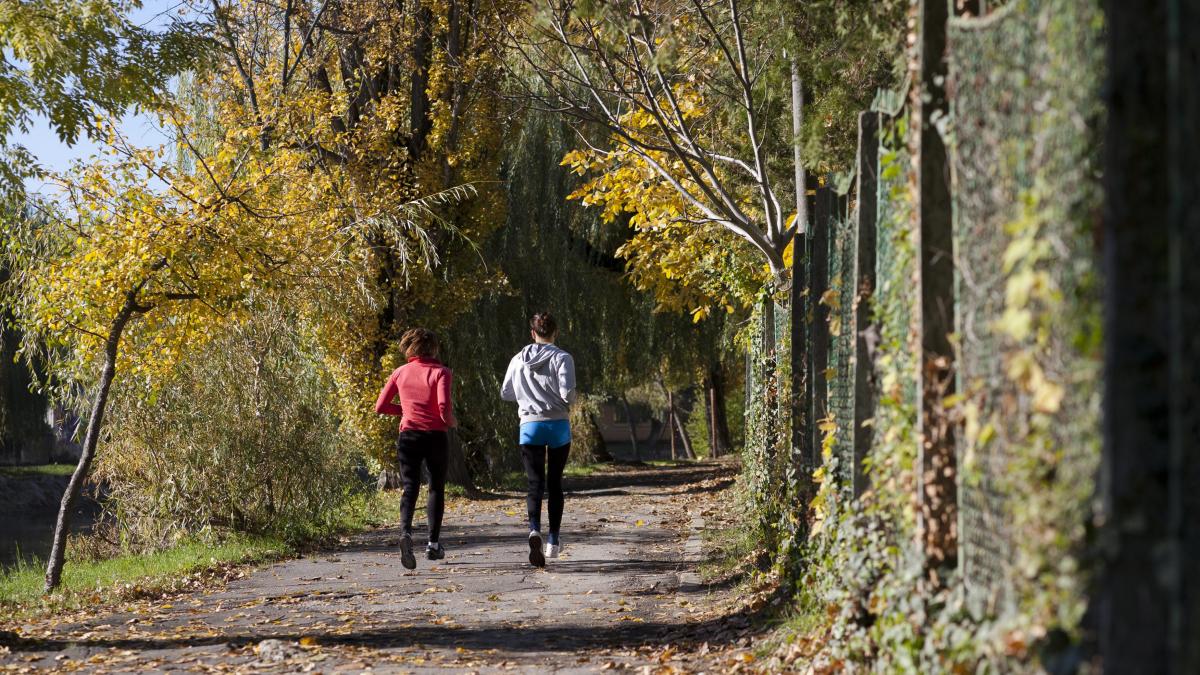 VREMEA se va încălzi. PROGNOZA METEO pentru luni şi marţi, în ţară şi în Bucureşti