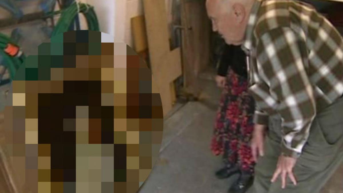 Un colet MISTERIOS a pus pe jar doi bătrânei din Marea Britanie: "Pare diabolică! Este o enigmă totală"