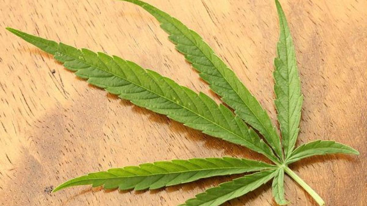 În România, nu există nici un medicament din cannabis