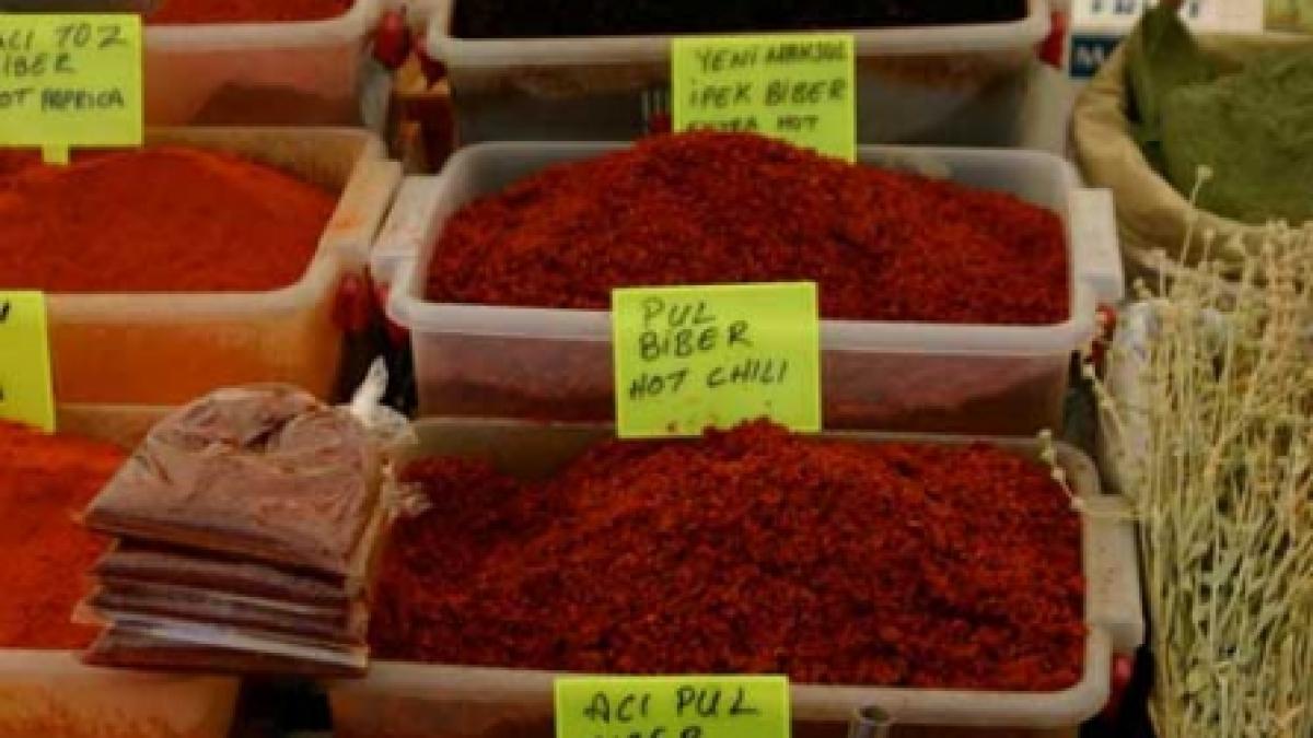 O primire prietenoasă din partea focii mediteraneene