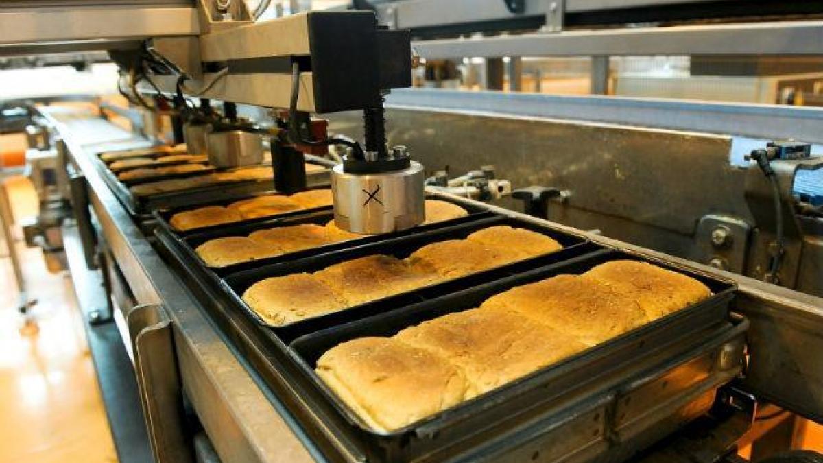 Rompan: Producţia fiscalizată a crescut cu peste 10% la făină şi cu 15% la pâine după reducerea TVA