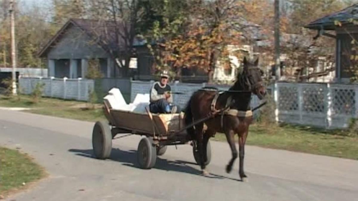 Descoperă un sat inedit: Localnicii se cunosc doar după poreclele haioase VIDEO