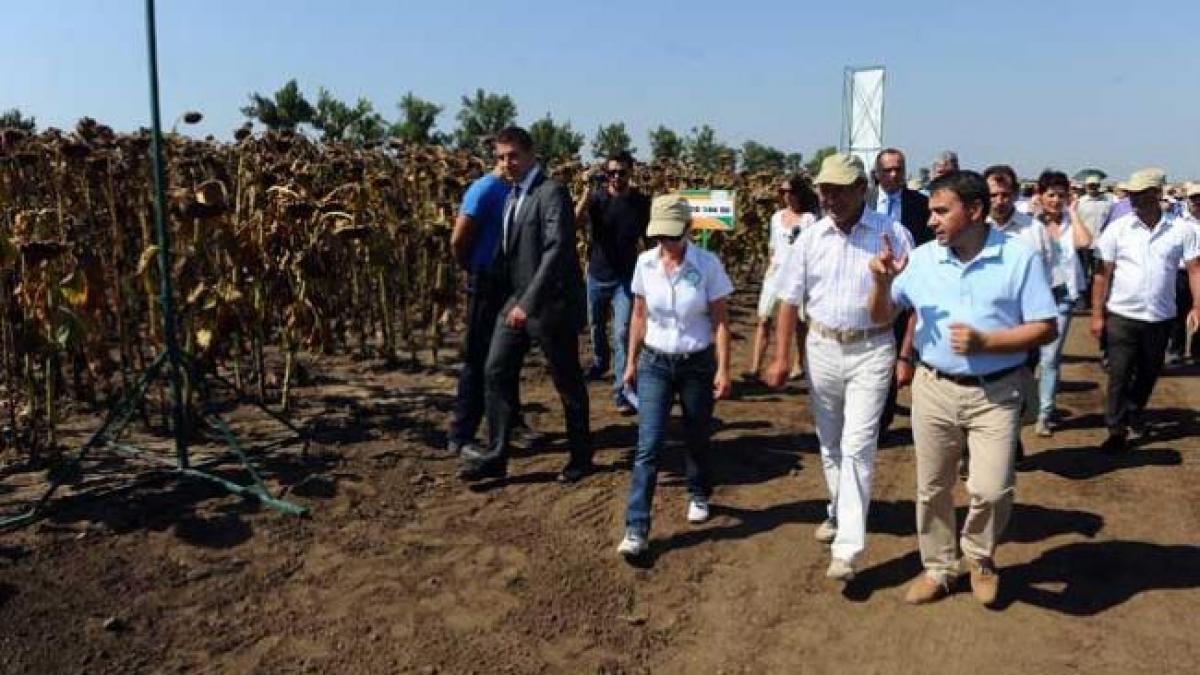 FERMA PREŞEDINTELUI. Comisia parlamentară are undă verde şi de la liberali