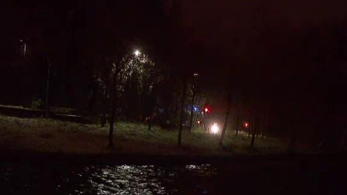 Descoperire macabră în parcul IOR din Capitală. Ce a găsit un bărbat lângă un copac