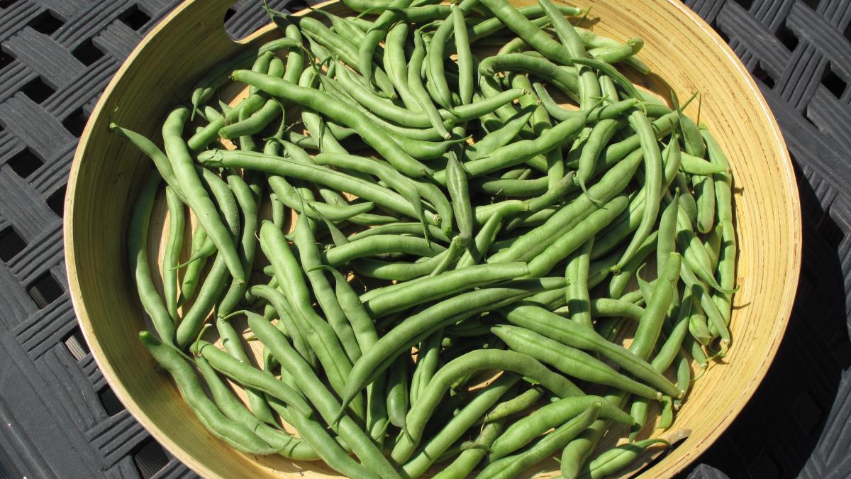 Reteta zile: Supa de fasole verde