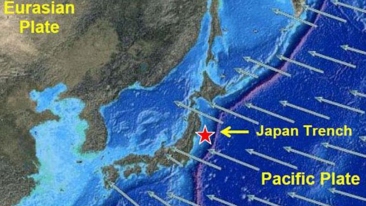 Cutremur în Japonia, resimţit puternic la Tokyo şi Fukushima