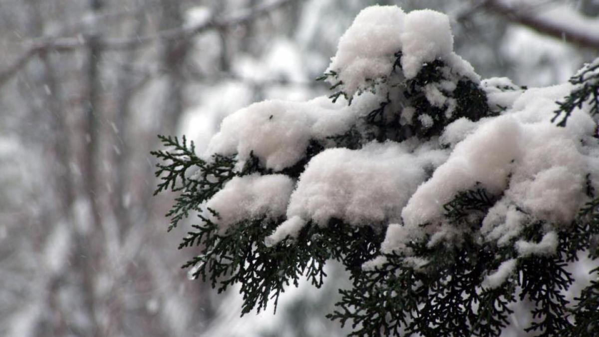 Meteorologii anunţă ninsori în aproape toată ţara. Vezi PROGNOZA METEO pentru intervalul 6 - 19 ianuarie