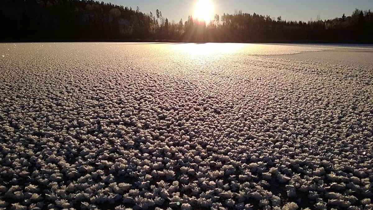 Fenomen RAR, surprins în imagini SPECTACULOASE. Ce se întâmplă în Finlanda, într-o anumită perioadă a anului (VIDEO)