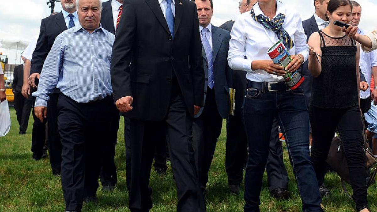 Zăpada congelează Comisia Nana
