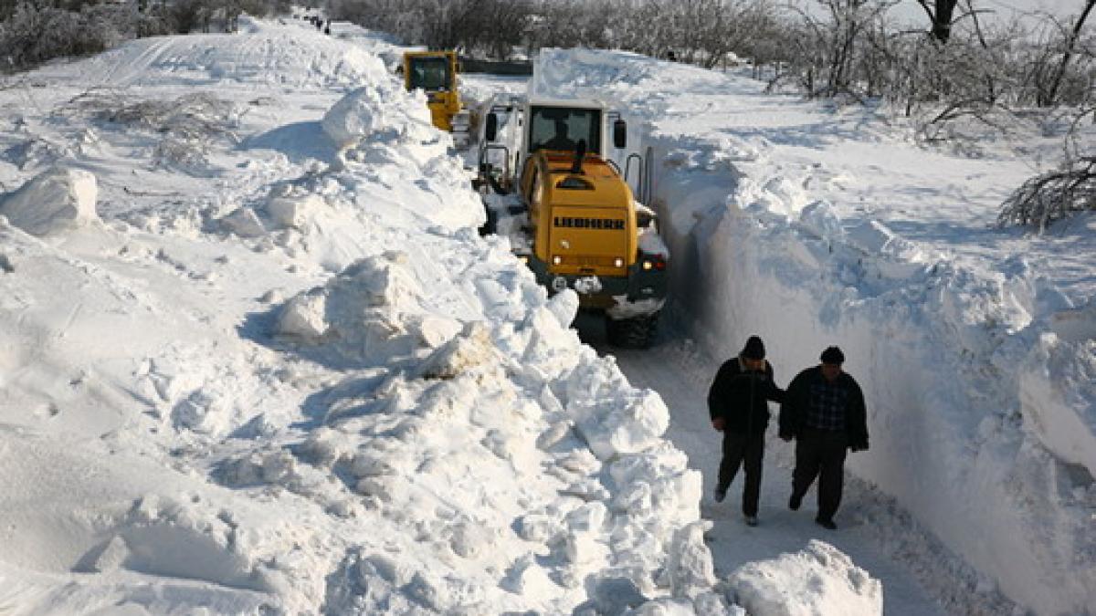 Troiene de cinci metri în Vrancea. Din fericire nu au fost cazuri speciale