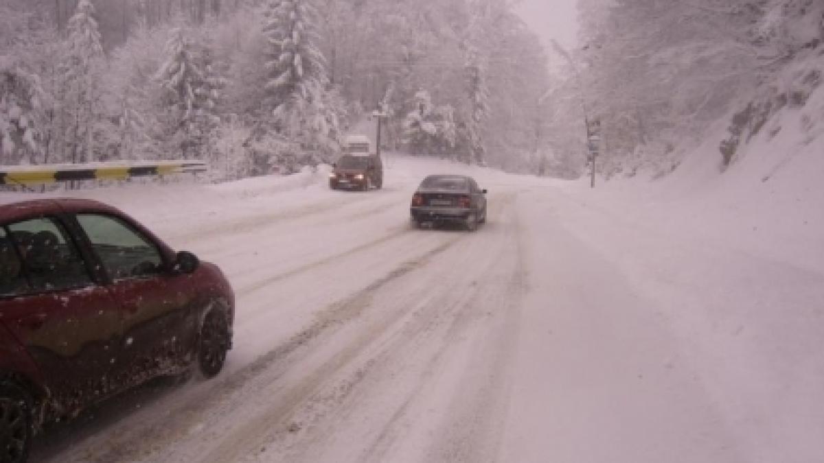 Infotrafic: A fost reluată circulaţia rutieră către Serbia