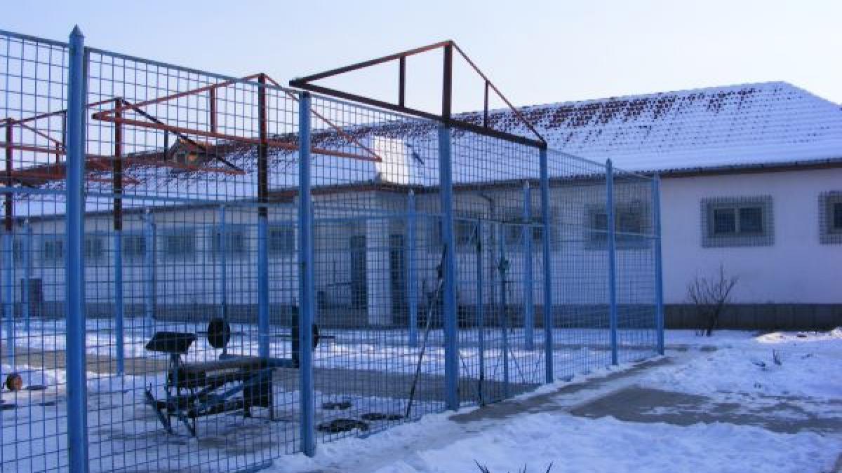 Asasinul lui Ioan Luchian Mihalea rămâne după gratii