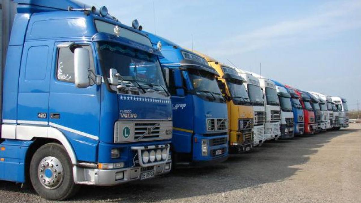 Guvernul a redus amenzile pentru transportatorii rutieri în medie cu 50%