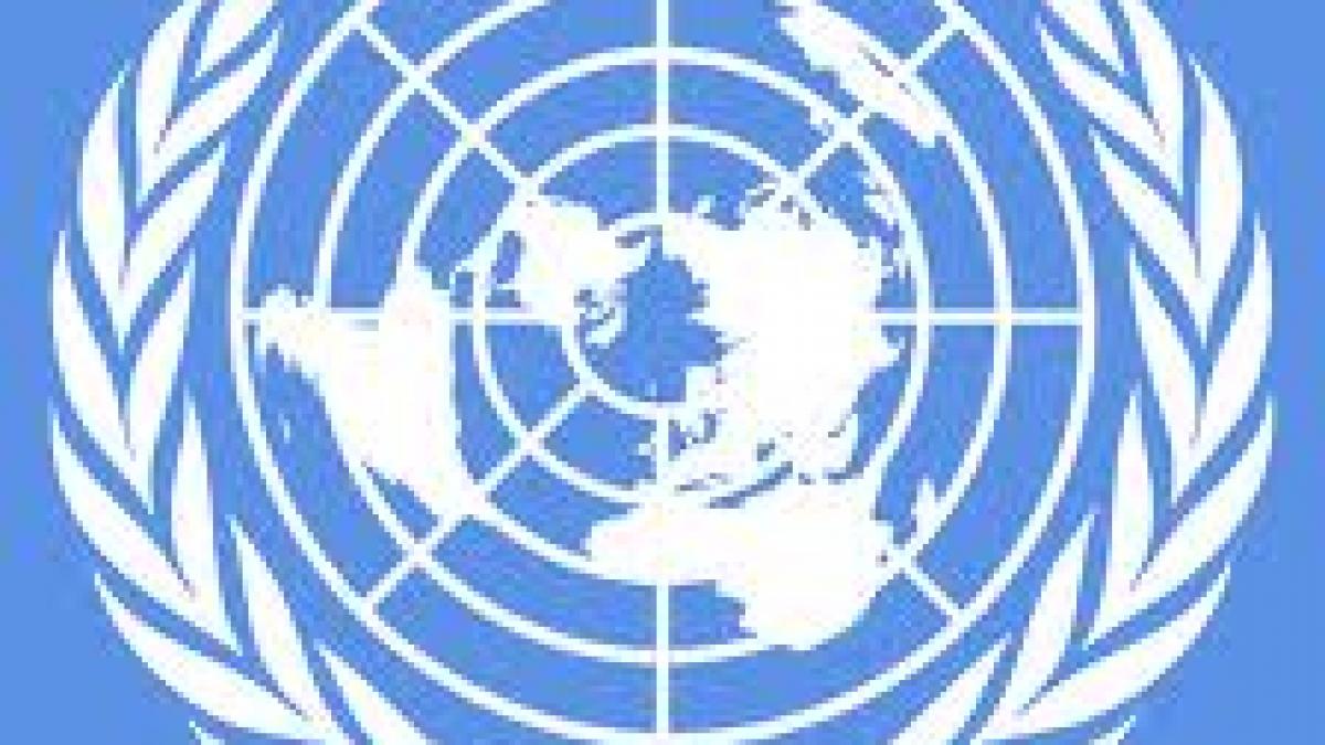  Vaticanul, în război cu ONU pe tema scandalurilor de pedofilie