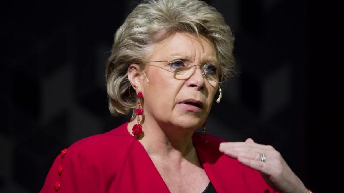 Viviane Reding, JEFUITĂ la Londra. Hoţii i-au luat geanta, cerceii şi ... plăcinta