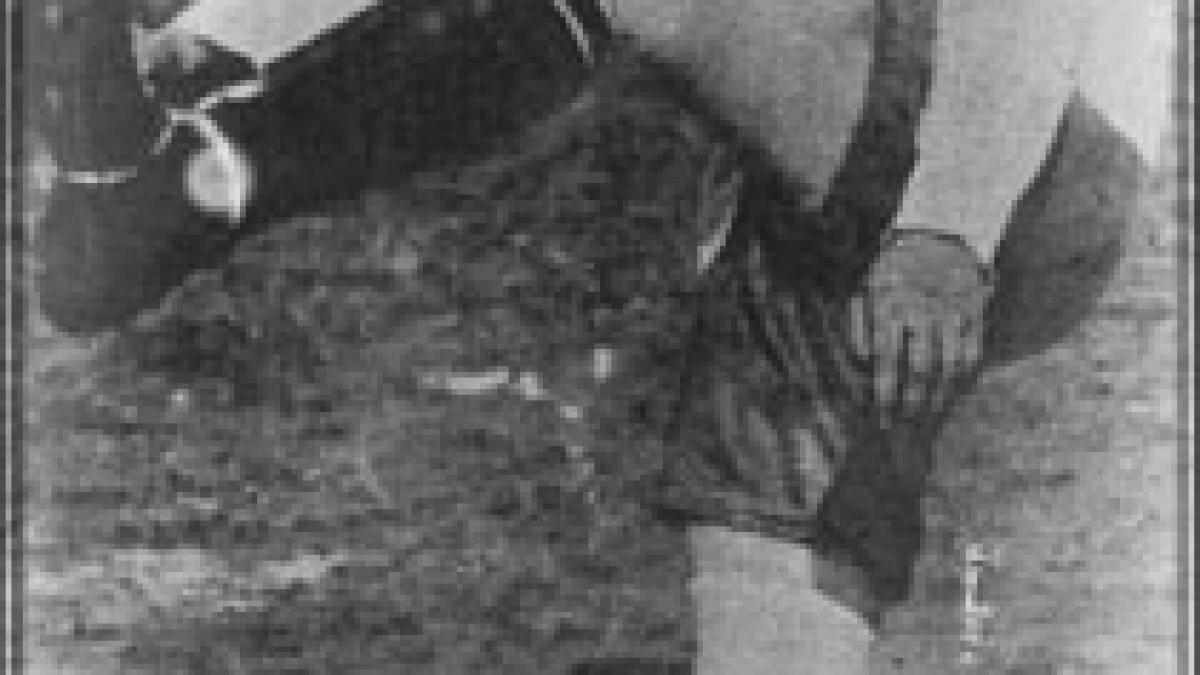 Cel mai prolific atacant din istoria fotbalului englez a fost femeie. Fenomenul născut şi ucis de Primul Război Mondial 
