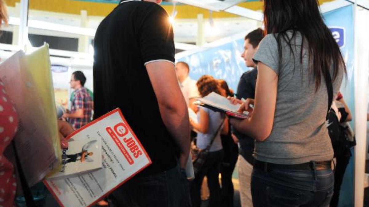 Rata şomajului a stagnat în ianuarie, comparativ cu ultima lună din 2013 