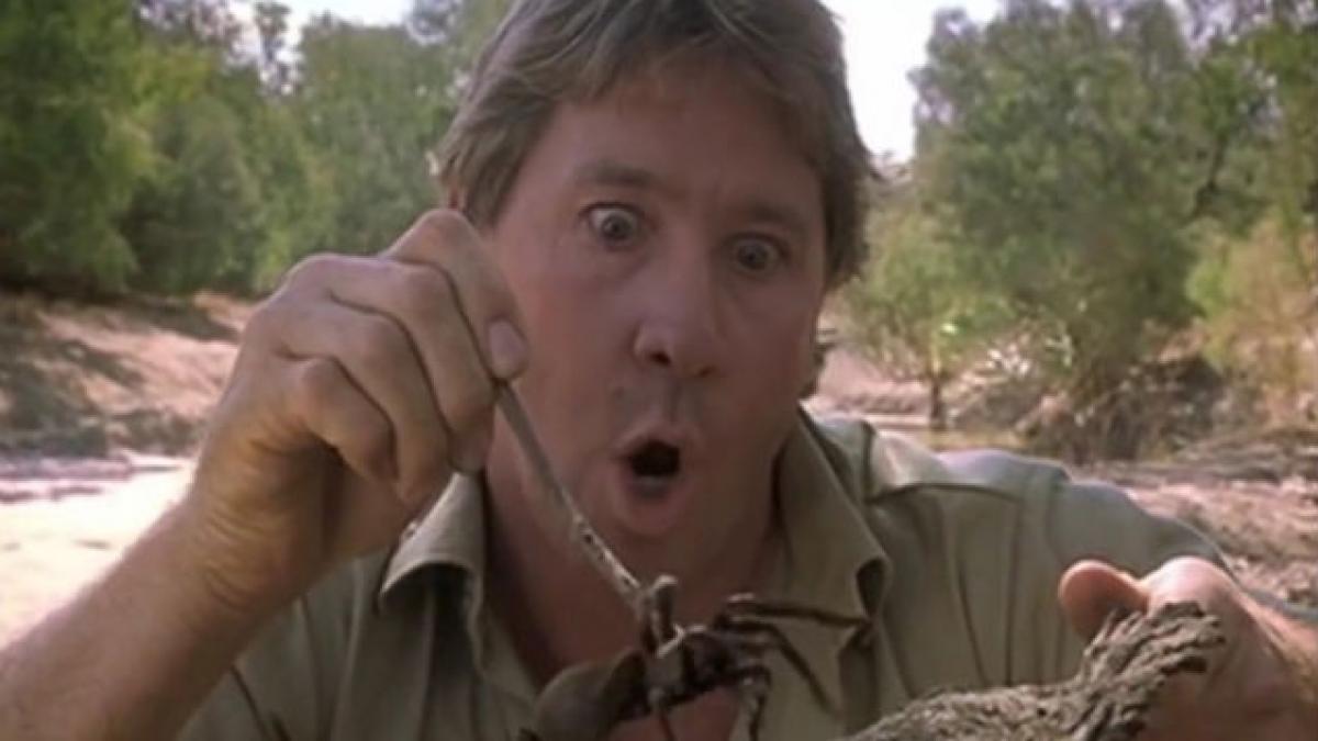 Ultimele cuvinte ale lui Steve Irwin. Cameramanul care a fost martor la moartea celebrului prezentator vorbeşte în premieră despre accident
