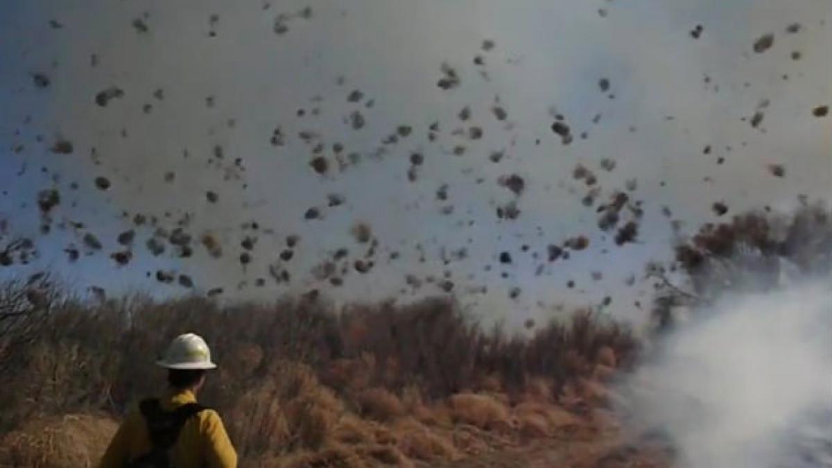 diavol de praf incendiu