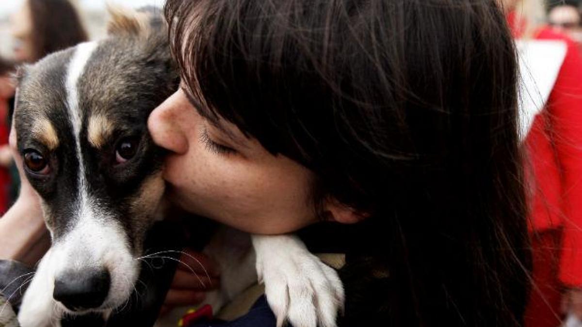Târg de adopții duminică în parcul Izvor
