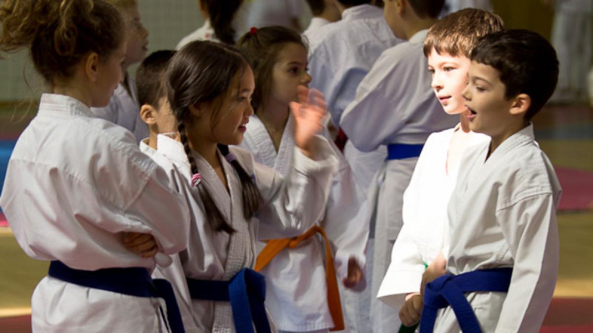 Karate în săptămâna altfel. Elevii au învăţat cum artele marţiale duc la un stil de viaţă sănătos