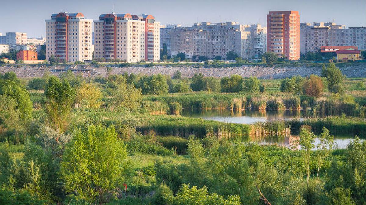 Proiectul de desemnare a "Deltei Bucureştiului" drept arie naturală protejată, adoptat de CGMB
