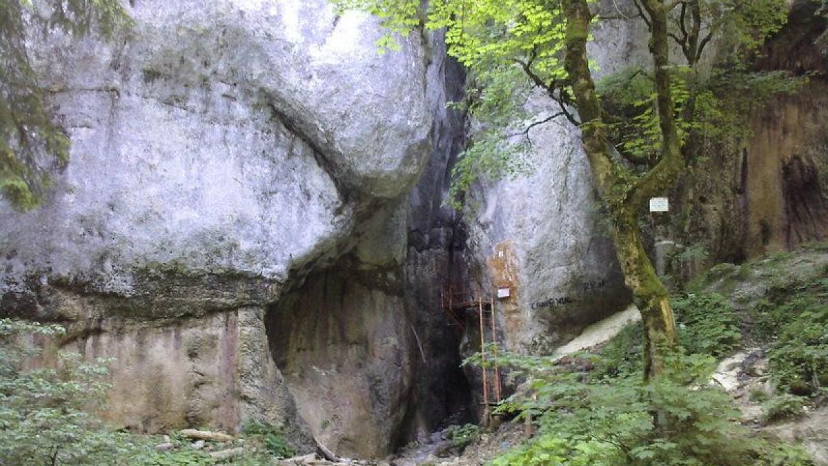 Tiroliană în Canionul “Şapte Scări”