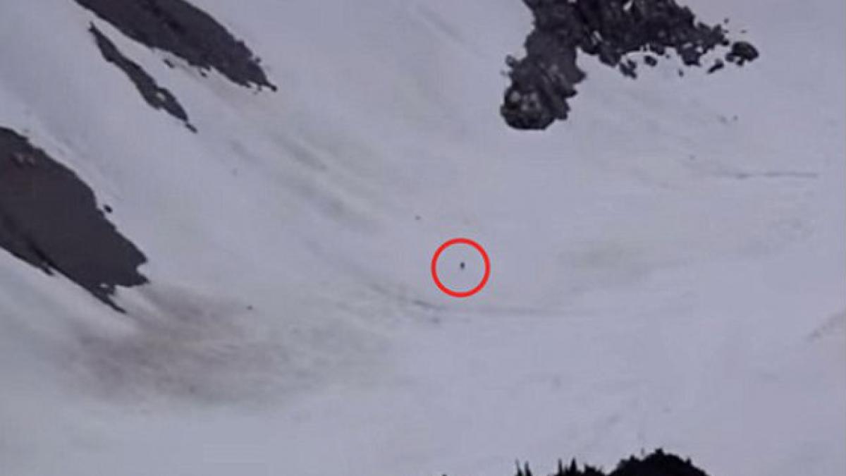 Nouă înregistrare care atestă existenţa lui Bigfoot. Tu ce crezi ? (VIDEO)