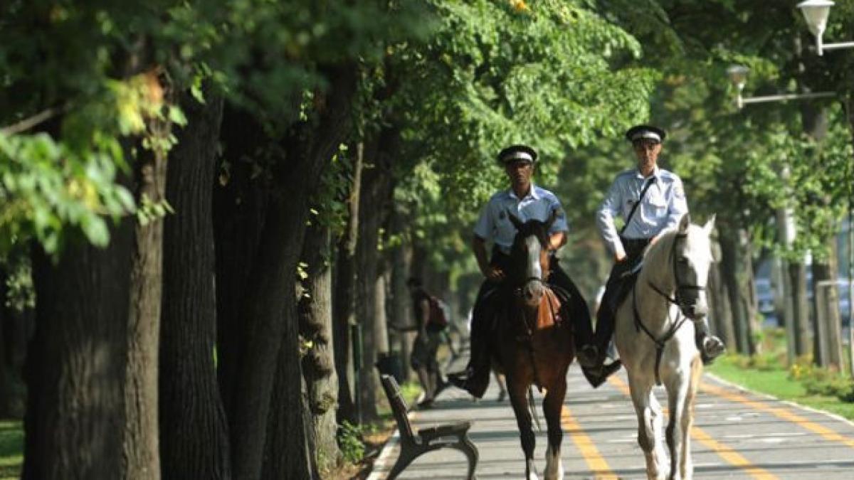 Poliţia Locală a găsit 39.600 în Parcul Herăstrău. Banii au fost restituiţi proprietarului