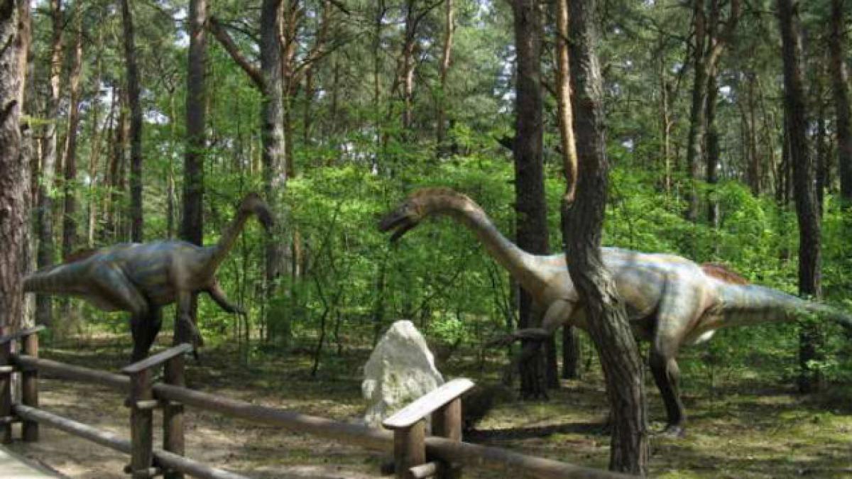 Jurasicul a durat cu cinci milioane de ani mai mult decât se credea