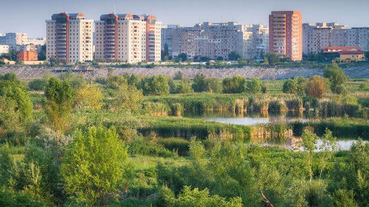 Guvernul a adoptat ordonanţa de urgenţă prin care Lacul Văcăreşti devine arie naturală protejată